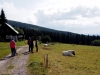 Krkonose_zari_2015_00120