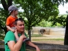ZOO_srpen_2015_00045