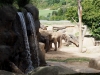 ZOO_srpen_2015_00049